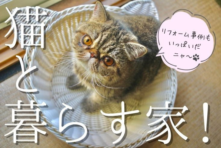 画像：猫と暮らす家！事例を交えたリフォーム・リノベーションアイデア集