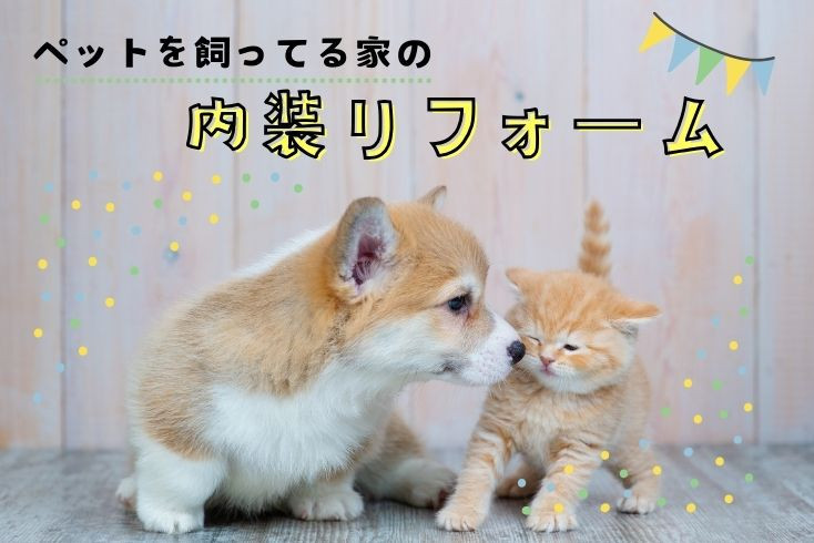 画像：ペットを飼っている家の内装リフォーム