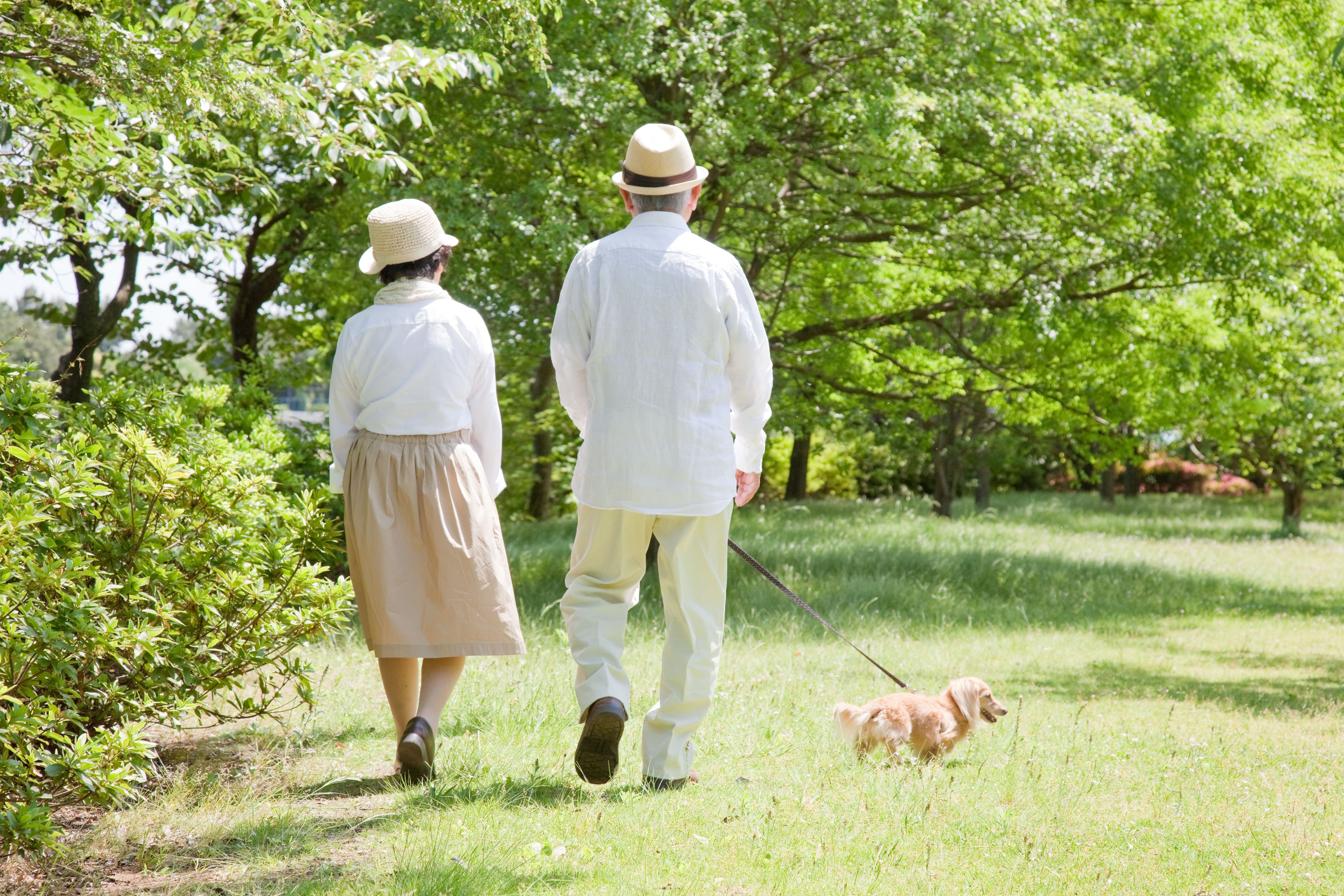 写真:家族と住まいの変化を「見える化」しよう